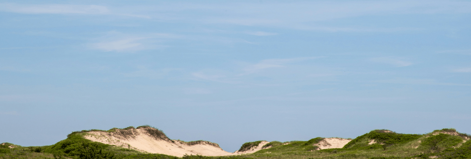 Page Banner